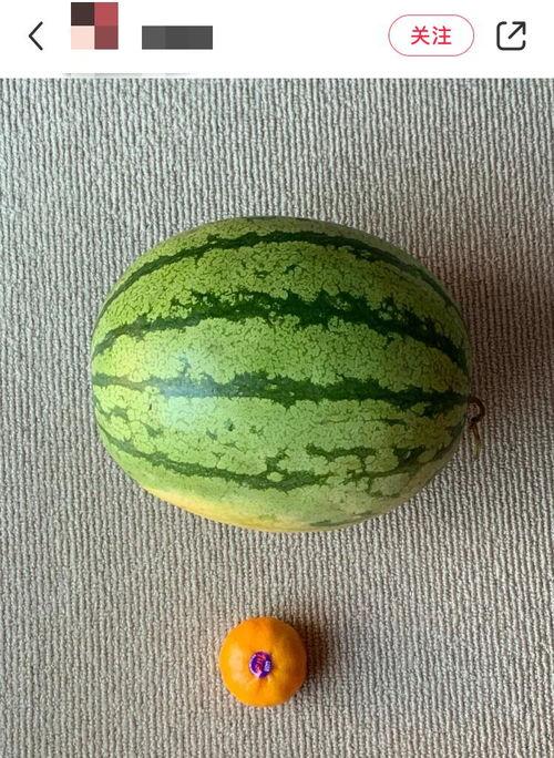 哪省人吃瓜多,揭秘哪省人吃瓜最多之谜”