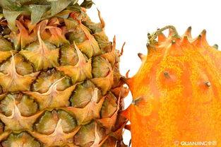 非洲角瓜吃籽吗,食用籽粒的秘密与营养价值