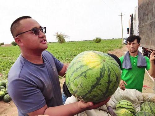 游荡吃瓜,揭秘娱乐圈幕后故事