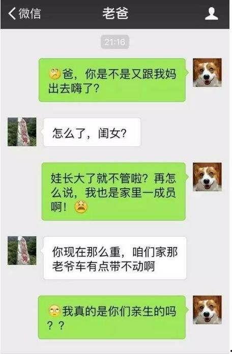 乐子人吃瓜搞笑段子,笑料百出，欢乐无限