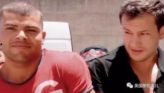 案中吃瓜,揭秘法庭背后的故事