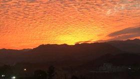 深圳晚霞吃瓜视频,一场别开生面的吃瓜盛宴