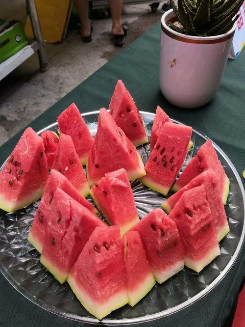 宁夏老头吃瓜,夏日里的悠闲时光