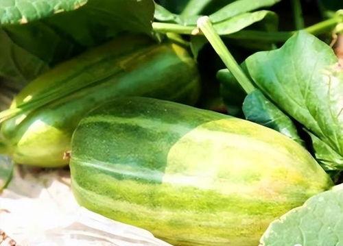 那个瓜怎么吃最好吃,揭秘最佳食用方法，让你吃出美味新境界