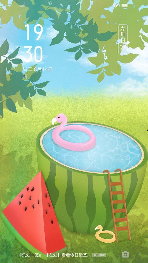 快乐夏天吃瓜,快乐吃瓜时光