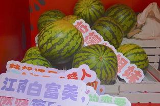 重庆公园吃瓜,悠闲生活里的甜蜜时光