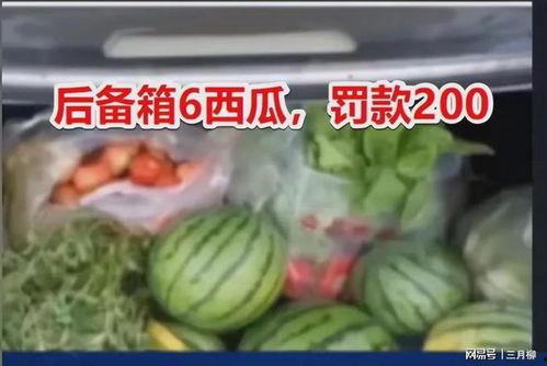 吃瓜被罚200,200元罚款引热议