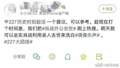 雷子吃瓜总结,揭秘娱乐圈幕后真相