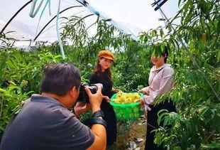 柘汪镇吃瓜,瓜香四溢，品味乡村美食之旅