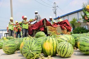 蒙城青云街吃瓜,吃瓜群众的欢乐盛宴