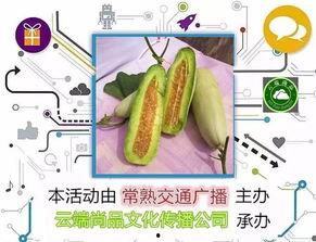 羊角瓜怀孕可以吃,营养与安全的双重保障