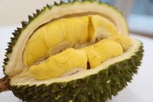 吃瓜可可壳,探寻美味背后的秘密