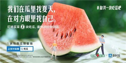 关于吃瓜的例子,吃瓜群众视角下的娱乐圈风云录