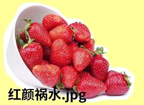 吃瓜草莓宝宝可以吃吗