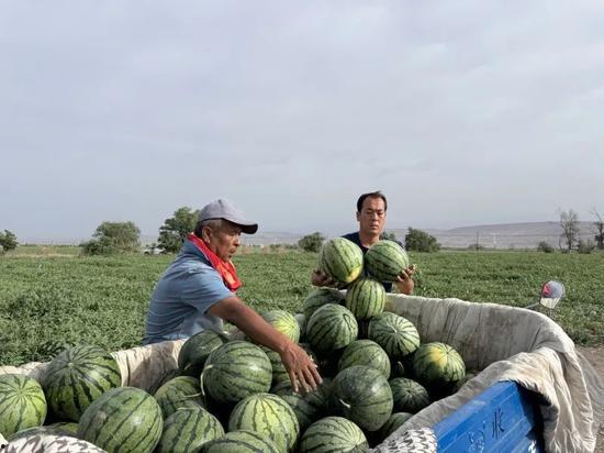 吃瓜国家新闻,吃瓜国家新闻盘点